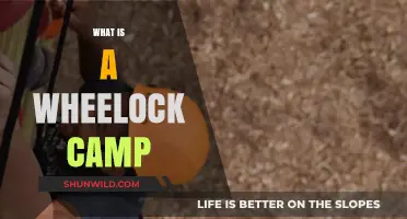 Exploring Wheelock Camp: History, Activities, and Community Experience