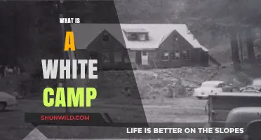 Understanding White Camps: Origins, Purpose, and Cultural Significance Explained