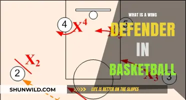 Understanding the Role of a Wing Defender in Basketball