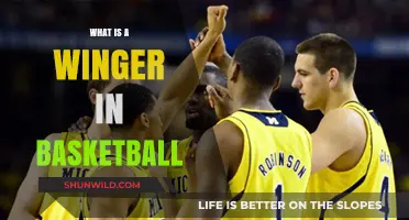 Understanding the Role of a Winger in Basketball: A Comprehensive Guide