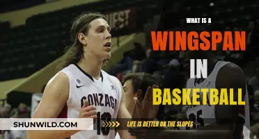 Understanding Wingspan in Basketball: Definition, Importance, and Impact on Gameplay