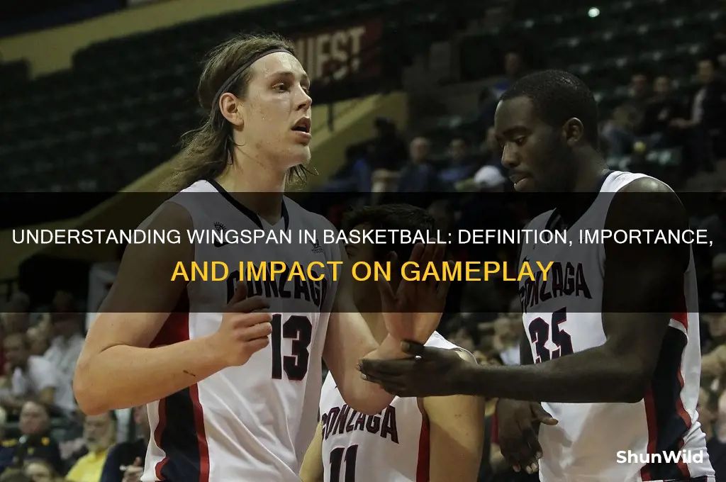 what is a wingspan in basketball