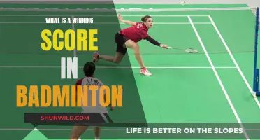 Badminton Triumphs: Understanding the Winning Scores