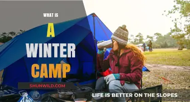 Exploring Winter Camp: Fun, Adventure, and Learning in the Cold Season