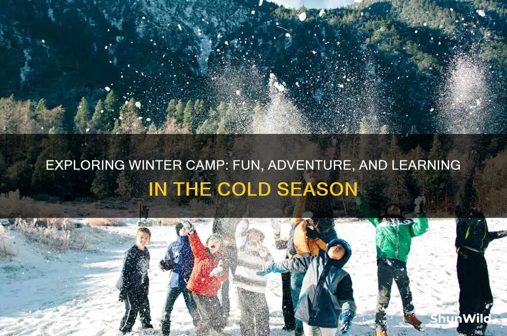what is a winter camp