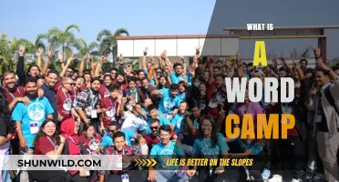 Understanding WordCamp: A Beginner's Guide to WordPress Community Events