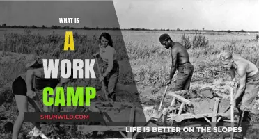 Exploring Work Camps: Purpose, Benefits, and How They Operate