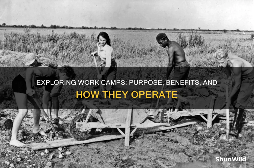 what is a work camp