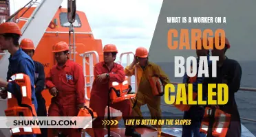 Who Manages Cargo Ships? Understanding the Role of a Crew