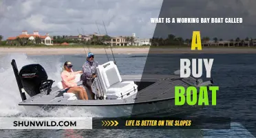 Understanding the Working Bay Boat: The 'Buy Boat' Phenomenon