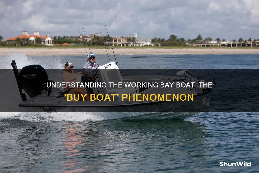 what is a working bay boat called a buy boat