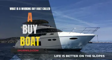 Bay Boats: Buy Boats for Work and Beyond
