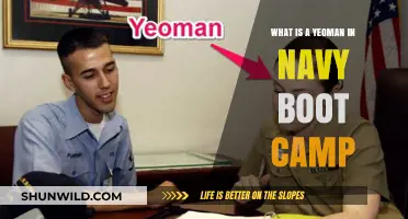 Understanding the Role of a Yeoman in Navy Boot Camp