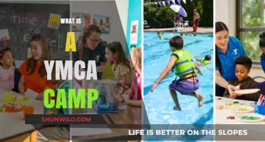 Discover the Fun and Adventure of YMCA Summer Camps