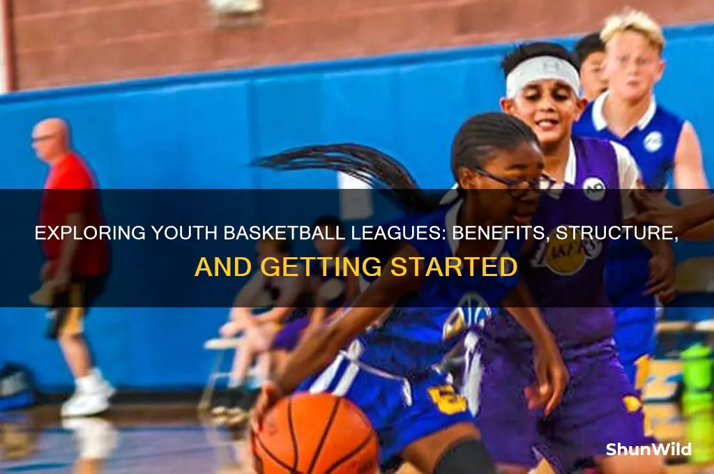 what is a youth basketball league