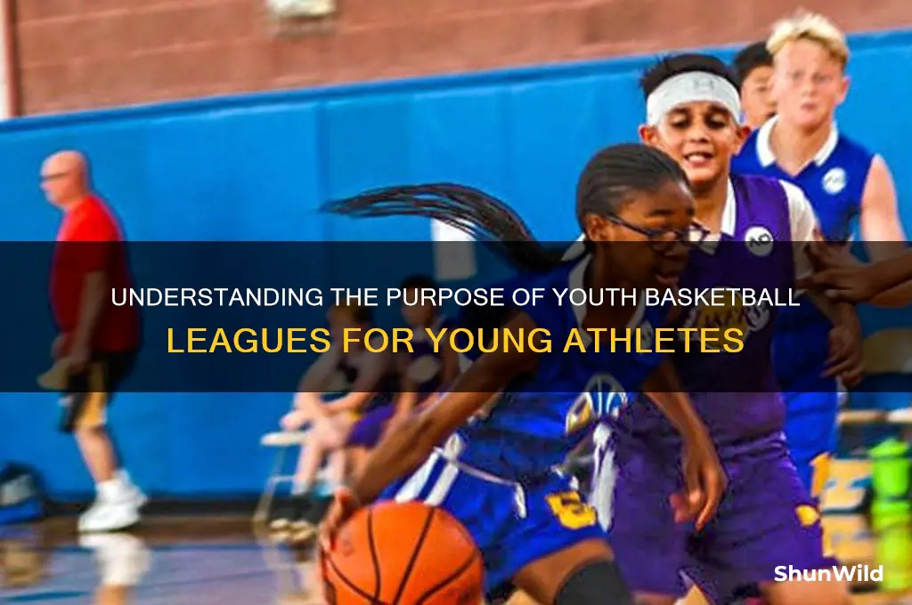 what is a youth basketball leagues purpose