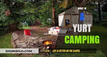 Discover Yurt Camping: Unique Outdoor Adventure and Cozy Shelter Experience