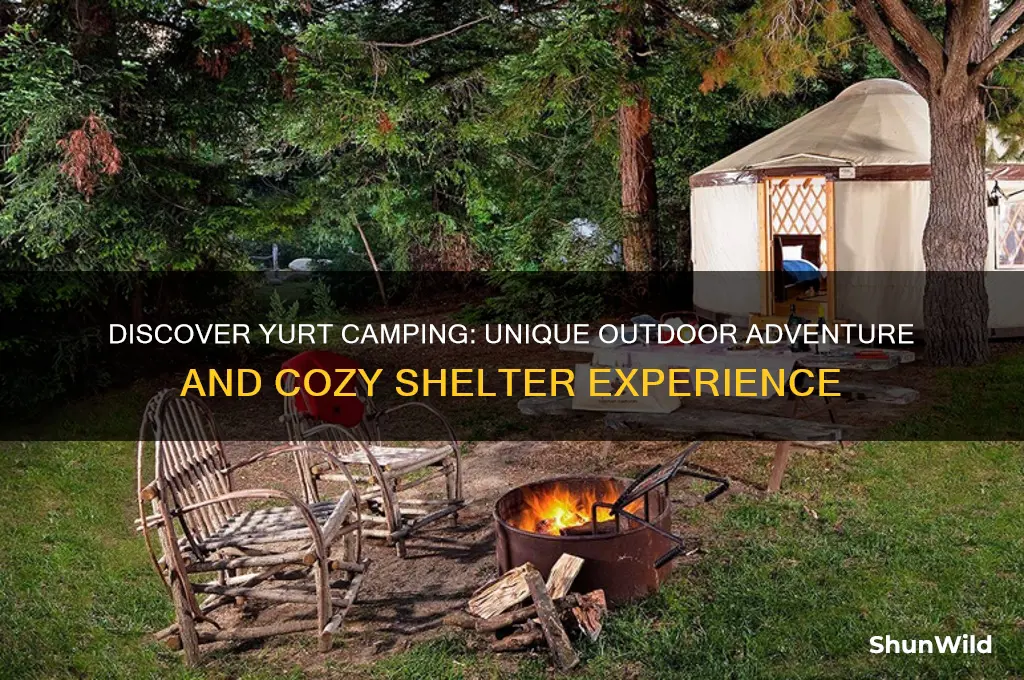 what is a yurt camping