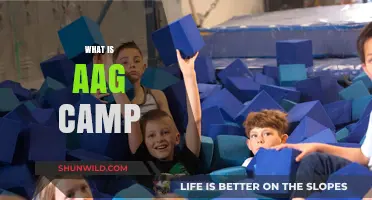 Understanding AAG Camp: Purpose, Activities, and Benefits Explained