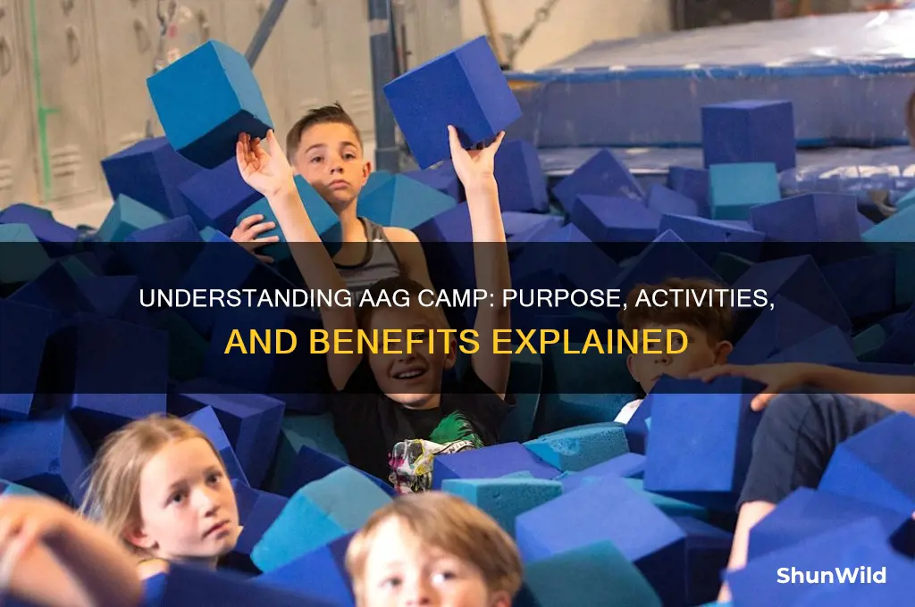 what is aag camp