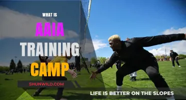 Exploring AAIA Training Camp: Purpose, Activities, and Benefits Revealed