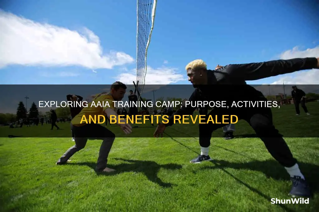 what is aaia training camp