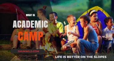 Exploring Academic Camps: Enriching Learning Adventures for Curious Minds