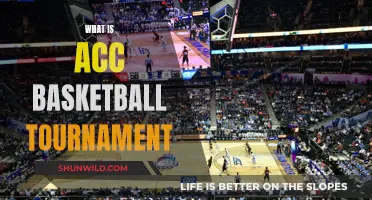 ACC Basketball Tournament: What's the Big Deal?