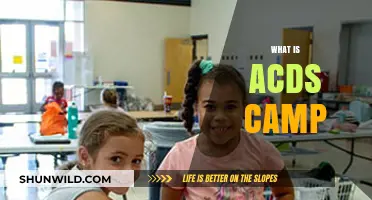Exploring ACDS Camp: Purpose, Activities, and Benefits for Participants