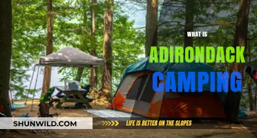 Exploring Adirondack Camping: A Beginner's Guide to Wilderness Adventure