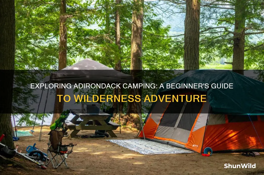 what is adirondack camping