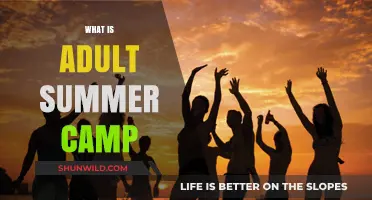 Unwind and Reconnect: Exploring the Joys of Adult Summer Camp