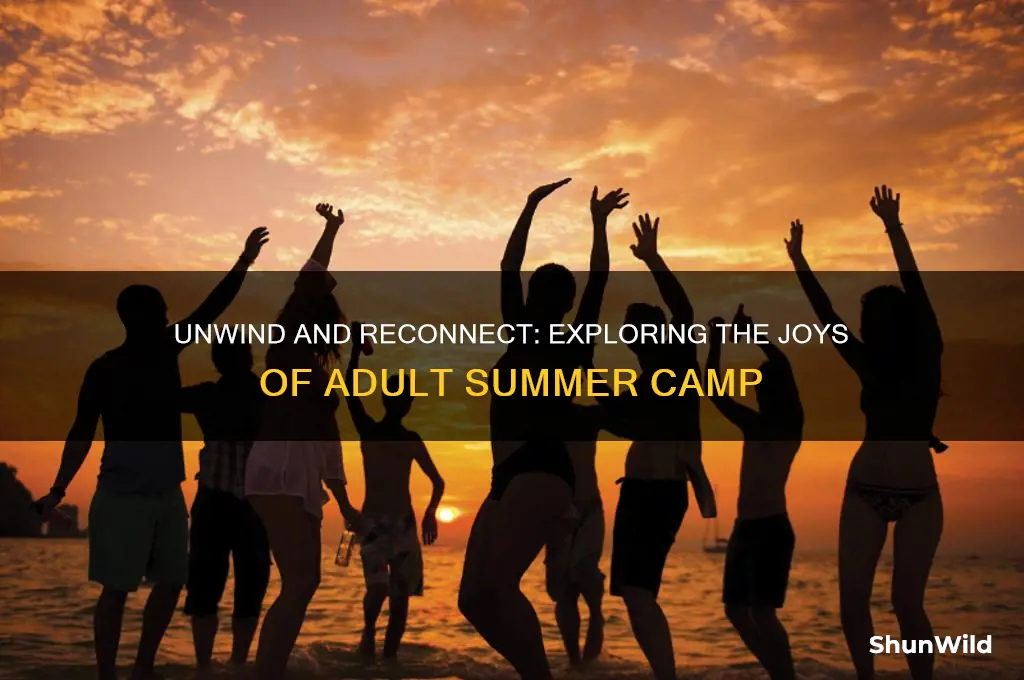 what is adult summer camp