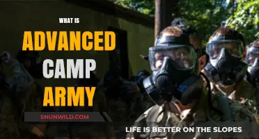 Advanced Camp Army: Unlocking Leadership Skills for Future Officers