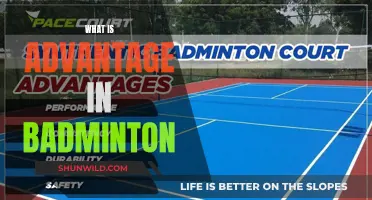 Understanding the Advantage in Badminton