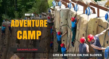 Exploring Adventure Camp: Thrilling Outdoor Experiences and Unforgettable Memories
