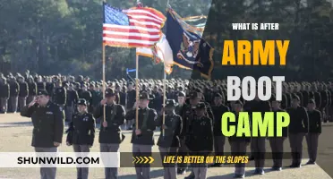 Life After Army Boot Camp: What to Expect Next