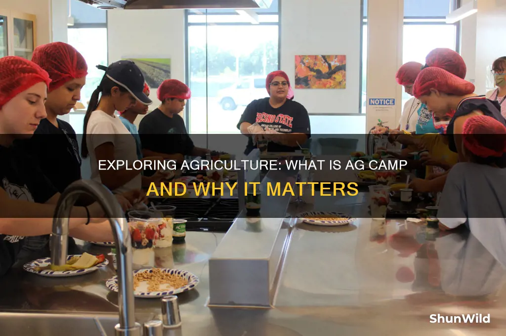 what is ag camp