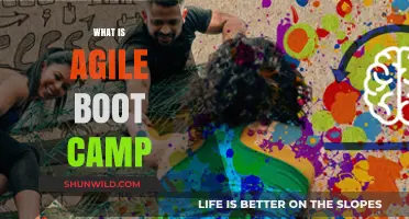 Master Agile Principles Fast: Unlocking Success Through Agile Boot Camp
