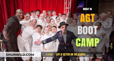 Unveiling AGT Boot Camp: A Deep Dive into the Intensive Training Program
