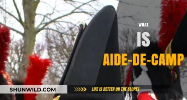 Understanding the Role and Responsibilities of an Aide-de-Camp