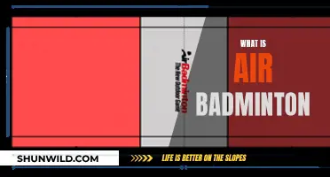 Air Badminton: A New Sport Takes Flight