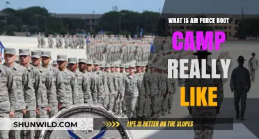 Air Force Boot Camp Unveiled: Real Life, Challenges, and Transformation