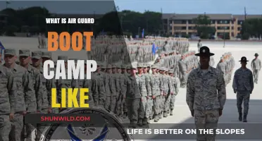 Air Guard Boot Camp: Challenges, Training, and Transformation Explained