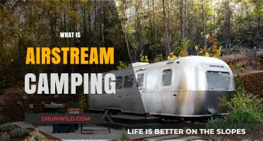 Discover the Unique Charm of Airstream Camping Adventures