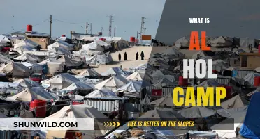 Understanding Al Hol Camp: A Comprehensive Overview of Its History and Impact