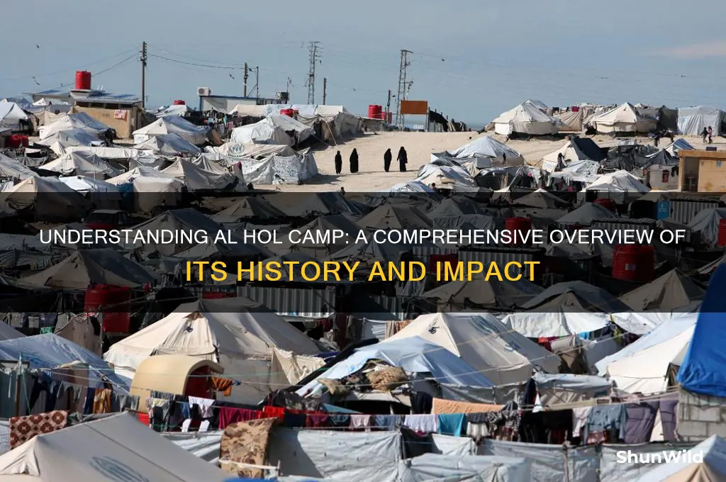what is al hol camp