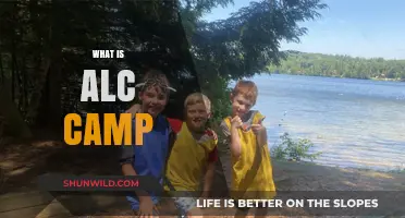 Exploring ALC Camp: Purpose, Activities, and Benefits for Participants