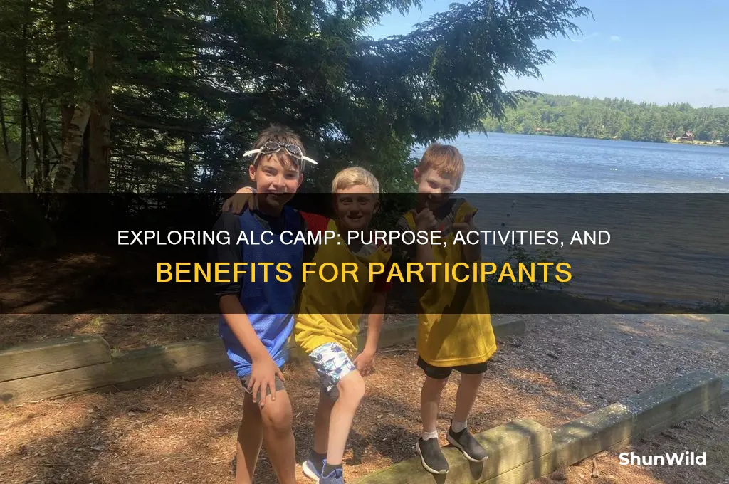what is alc camp