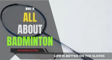 Badminton: A Beginner's Guide to the Sport
